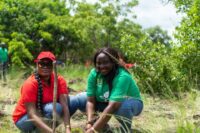 Telecel-employee-volunteer-plants-a-seedling-with-the-support-of-a-Forestry-Commission-official