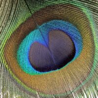 Colors-of-feeling-Cover-by-Kan-Did