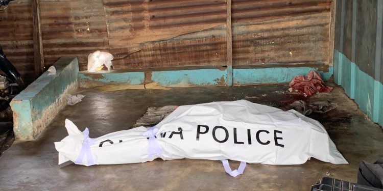 WhatsApp-Image-2025-09-21-at-14.51.03_81fdb849-750x375